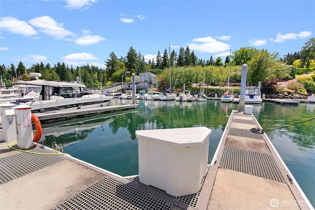 5834 Ward Ave NE Unit B-25, Bainbridge Island, WA 98110 - photo 15