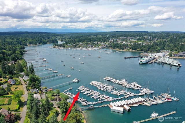 5834 Ward Ave NE Unit B-25, Bainbridge Island, WA 98110 - photo 27