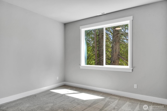 18305 Snohomish Ave, Snohomish, WA 98296 - photo 25