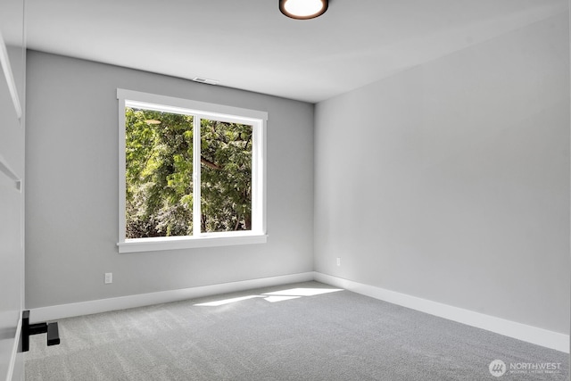 18305 Snohomish Ave, Snohomish, WA 98296 - photo 29