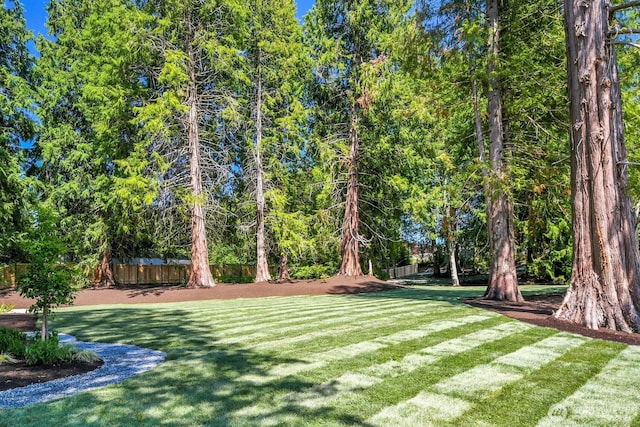 18305 Snohomish Ave, Snohomish, WA 98296 - photo 33