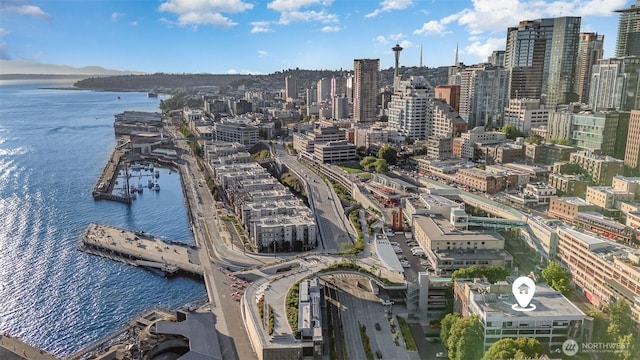 1507 Western Ave Unit R203, Seattle, WA 98101 - view of urban area with a nearby body of water