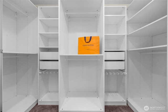 2109 130th Pl SE, Bellevue, WA 98005 - view of walk in closet