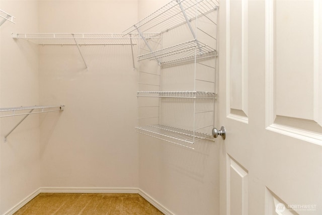 6409 Francis Ave SE, Auburn, WA 98092 - spacious closet with carpet