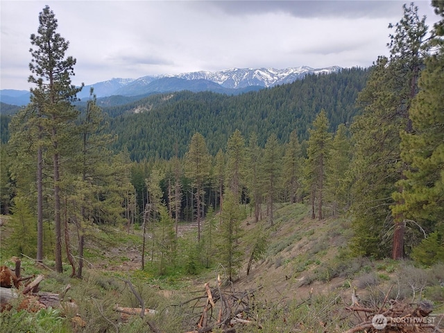 16100 Chumstick Hwy, Leavenworth, WA 98826