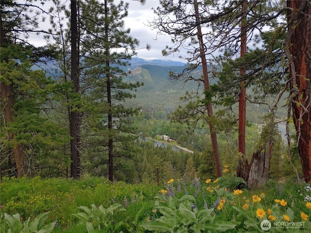 16100 Chumstick Hwy, Leavenworth, WA 98826