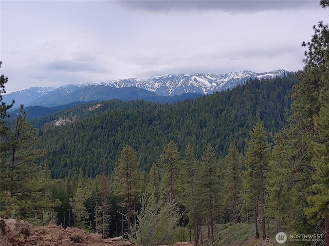 16100 Chumstick Hwy, Leavenworth, WA 98826