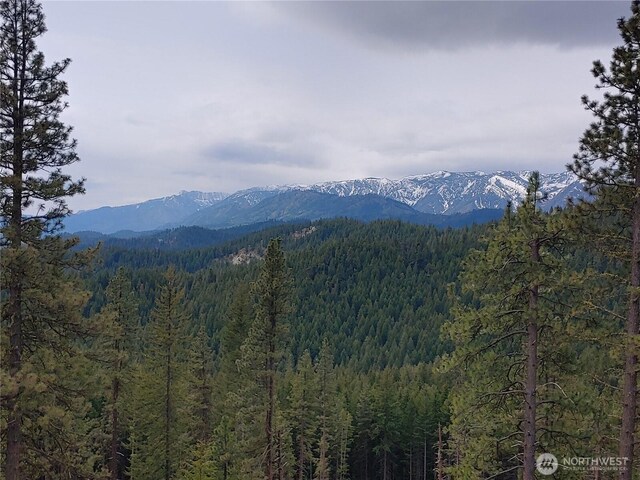 16100 Chumstick Hwy, Leavenworth, WA 98826