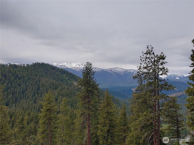 16100 Chumstick Hwy, Leavenworth, WA 98826