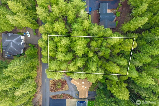 651 E Vine Maple Ln, Union, WA 98592 - photo 2