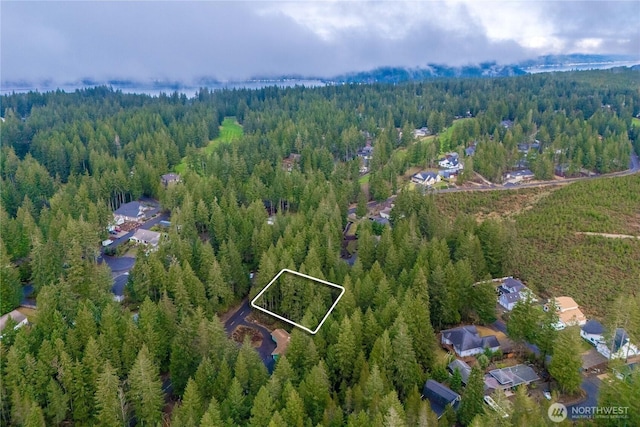 651 E Vine Maple Ln, Union, WA 98592 - photo 3