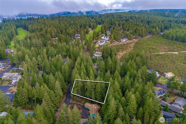 651 E Vine Maple Ln, Union, WA 98592 - photo 4