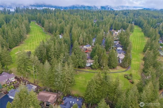 651 E Vine Maple Ln, Union, WA 98592 - photo 5