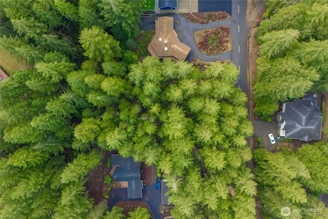 651 E Vine Maple Ln, Union, WA 98592 - photo 7