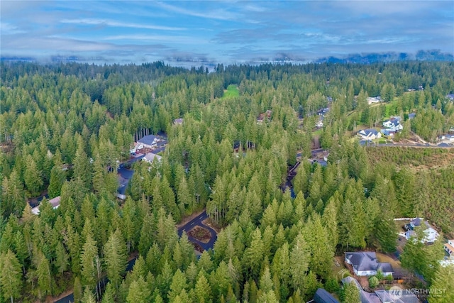 651 E Vine Maple Ln, Union, WA 98592 - photo 10