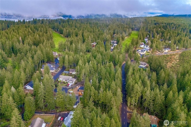 651 E Vine Maple Ln, Union, WA 98592 - photo 11