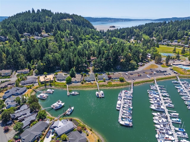 882 Shoshone Dr, La Conner, WA 98257 - aerial overview of property's location featuring numerous boat docks and a nearby body of water