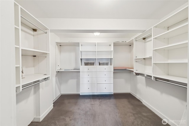 882 Shoshone Dr, La Conner, WA 98257 - walk in closet featuring dark colored carpet