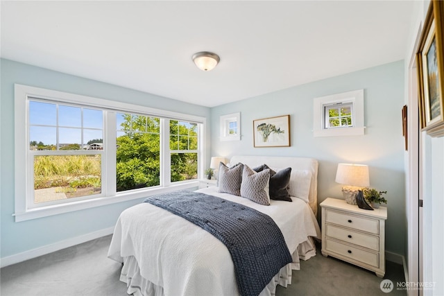 882 Shoshone Dr, La Conner, WA 98257 - bedroom featuring dark carpet