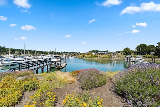 882 Shoshone Dr, La Conner, WA 98257 - dock with a water view