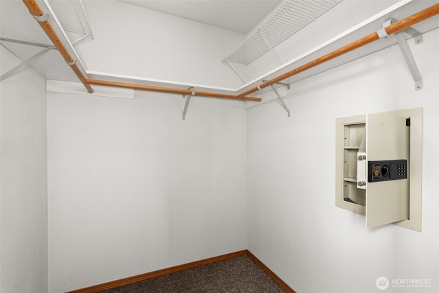 105 Clearview Cir, Chehalis, WA 98532 - walk in closet with carpet flooring