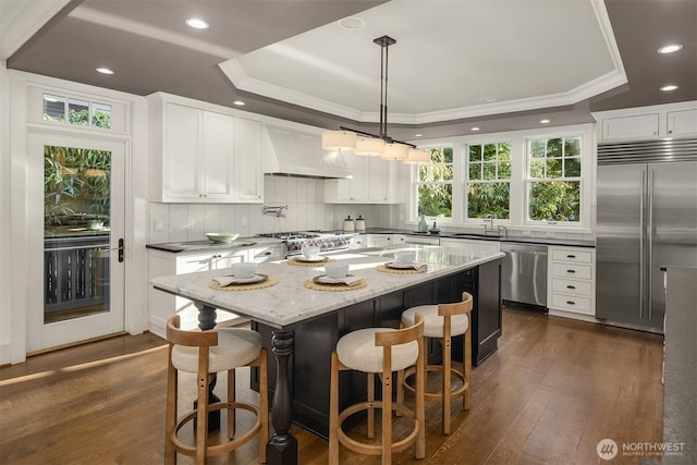 3202 Hunter Blvd S, Seattle, WA 98144 - kitchen with appliances with stainless steel finishes, a tray ceiling, custom range hood, dark wood-style flooring, and recessed lighting
