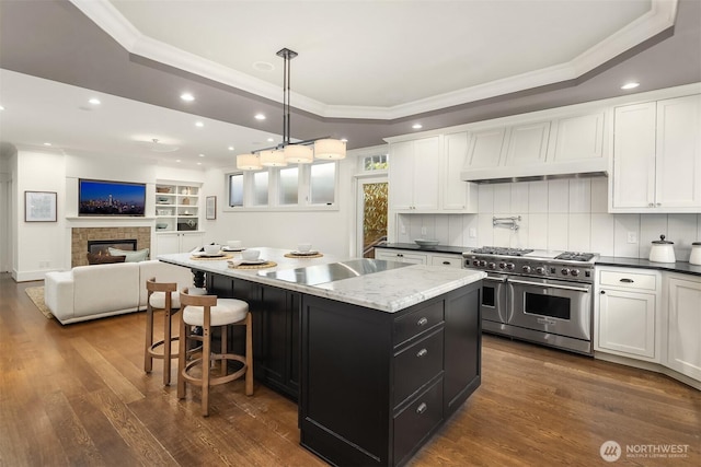 3202 Hunter Blvd S, Seattle, WA 98144 - kitchen with double oven range, a raised ceiling, dark cabinetry, ornamental molding, and white cabinetry