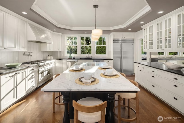 3202 Hunter Blvd S, Seattle, WA 98144 - kitchen with high end appliances, a raised ceiling, dark wood-style flooring, custom exhaust hood, and crown molding