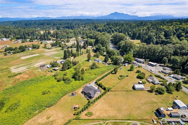 1402 S Machias Rd, Snohomish, WA 98290 - photo 31