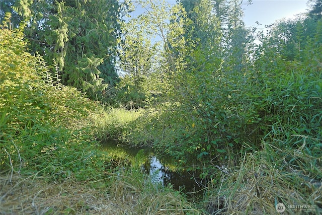 0X 241st Ave, Monroe, WA 98272