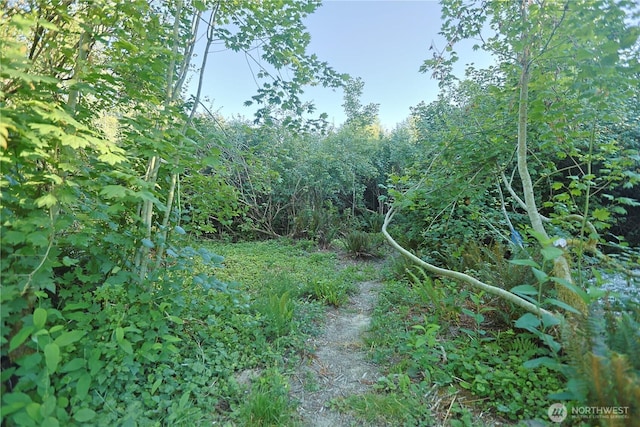 0X 241st Ave, Monroe, WA 98272