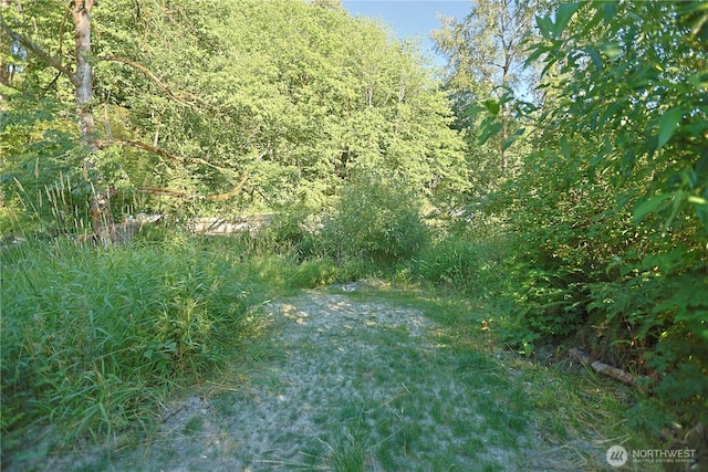 0X 241st Ave, Monroe, WA 98272