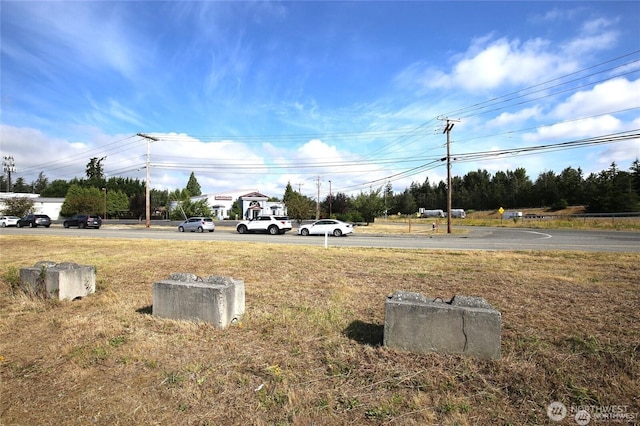 0 W Bakerview Rd, Bellingham, WA 98226 - photo 3