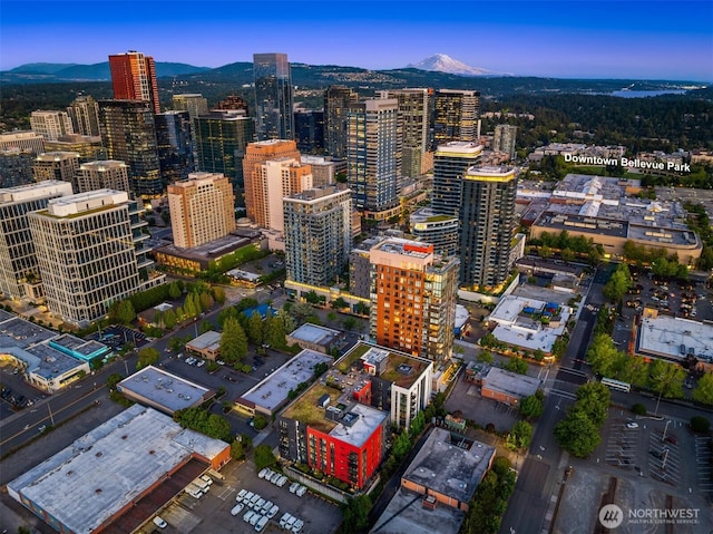 1085 103rd Ave NE Unit 401, Bellevue, WA 98004 - photo 18