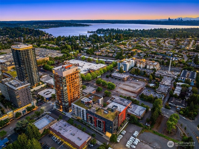 1085 103rd Ave NE Unit 401, Bellevue, WA 98004 - photo 27