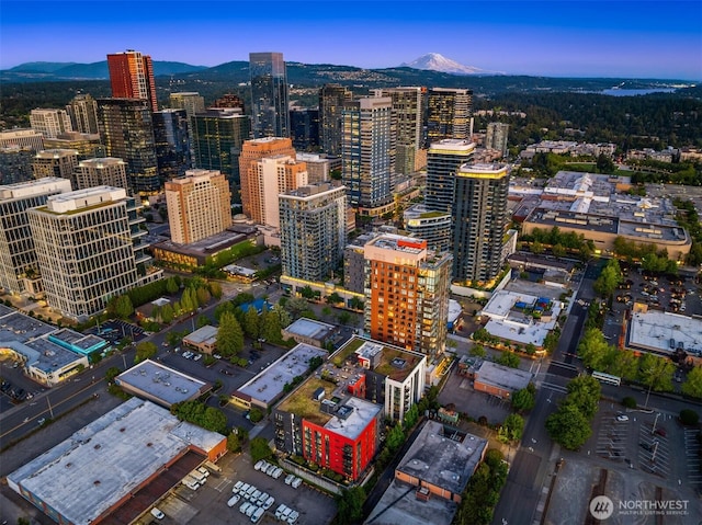1085 103rd Ave NE Unit 401, Bellevue, WA 98004 - photo 28