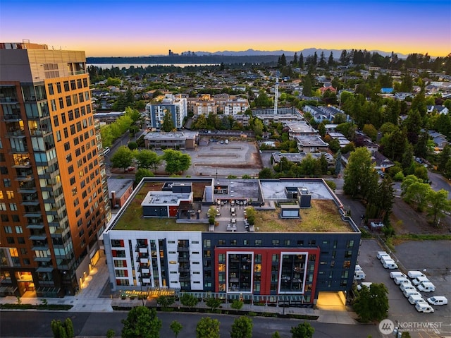 1085 103rd Ave NE Unit 401, Bellevue, WA 98004 - photo 29