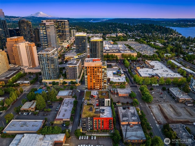 1085 103rd Ave NE Unit 401, Bellevue, WA 98004 - photo 23