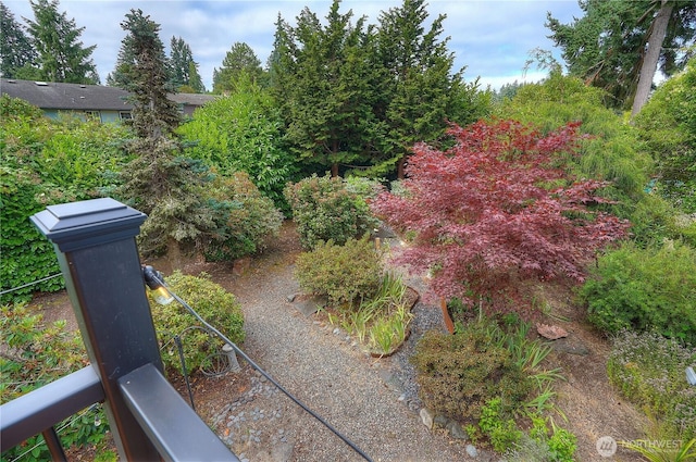 10802 99th St SW, Tacoma, WA 98498 - photo 25