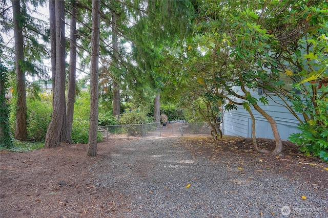10802 99th St SW, Tacoma, WA 98498 - photo 26