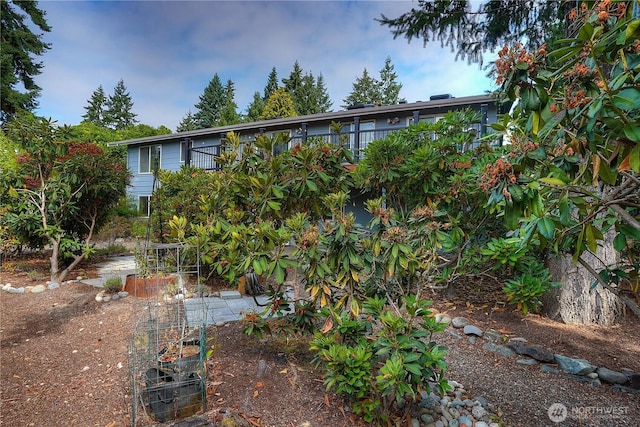 10802 99th St SW, Tacoma, WA 98498 - photo 27