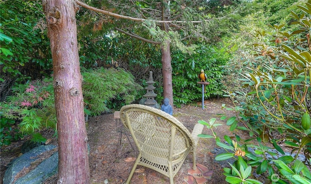 10802 99th St SW, Tacoma, WA 98498 - photo 32