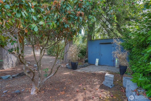 10802 99th St SW, Tacoma, WA 98498 - photo 31