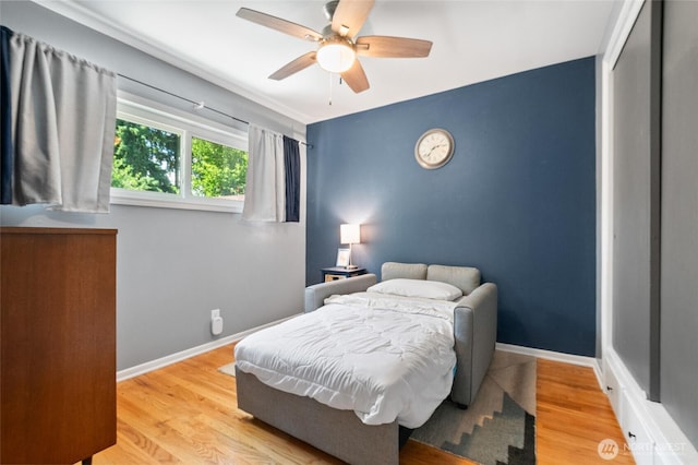 11515 7th Ave NE, Seattle, WA 98125 - photo 10
