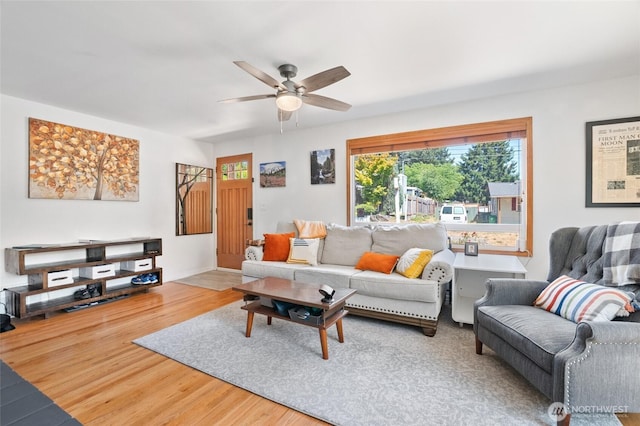 11515 7th Ave NE, Seattle, WA 98125 - photo 12