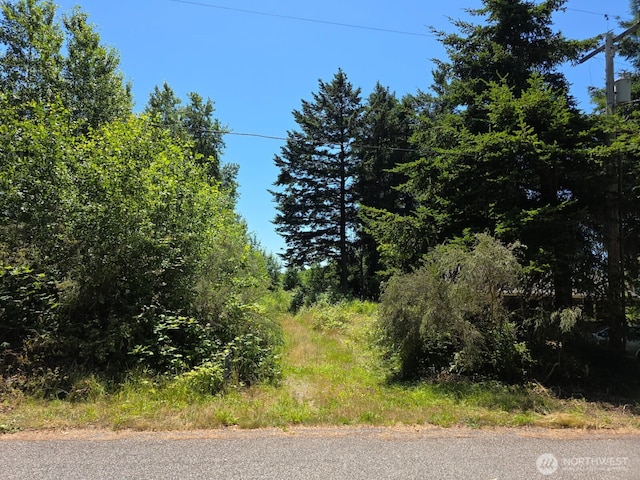 0 Peltier Rd, Point Roberts, WA 98281