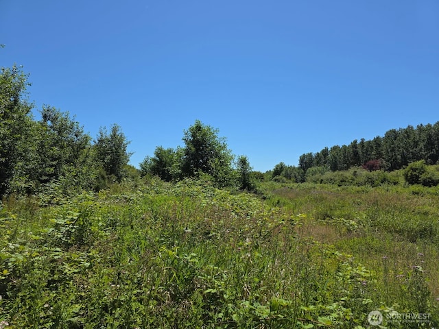 0 Peltier Rd, Point Roberts, WA 98281