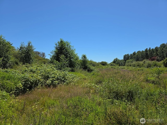 0 Peltier Rd, Point Roberts, WA 98281