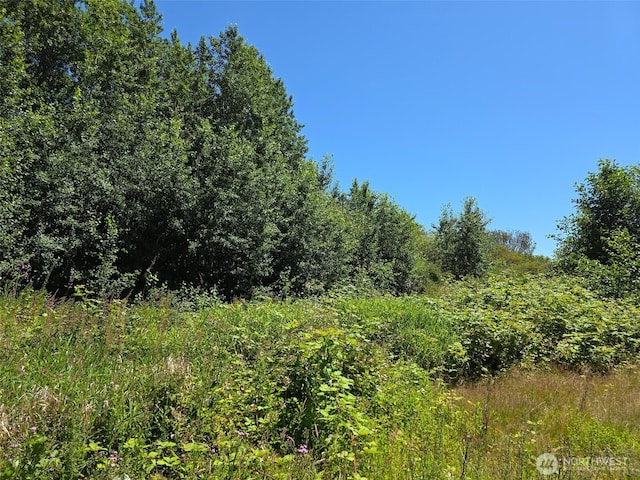 0 Peltier Rd, Point Roberts, WA 98281