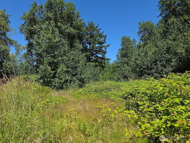 0 Peltier Rd, Point Roberts, WA 98281